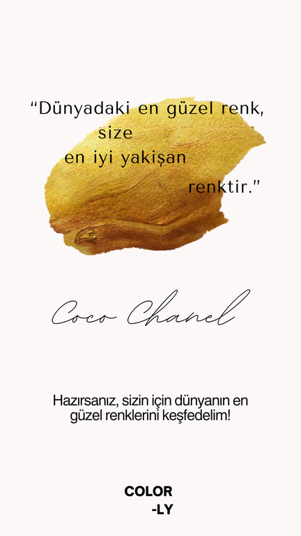 Colorly renk analizi tanıtım kartı